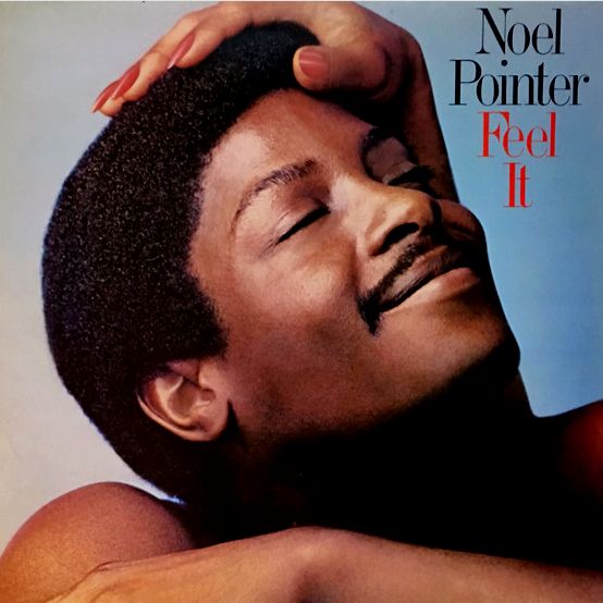 Noel Pointer ‎– Feel It