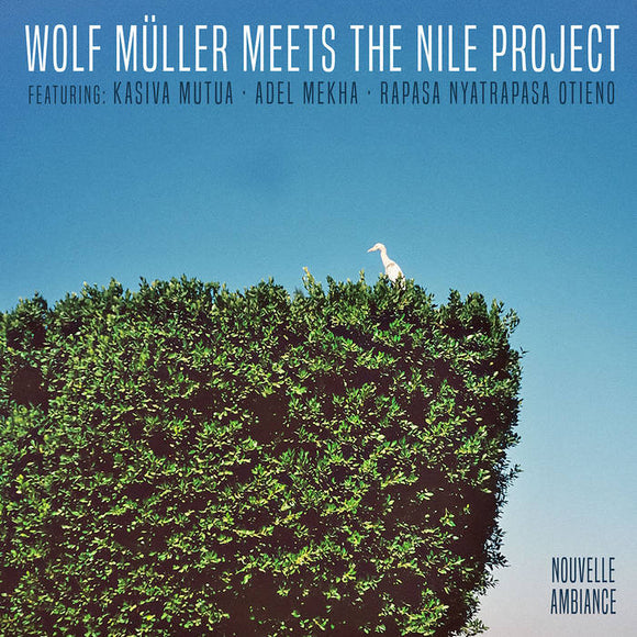 Wolf Müller Meets The Nile Project - S.T.