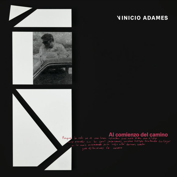 Vinicio Adames ‎– Al Comienzo Del Camino
